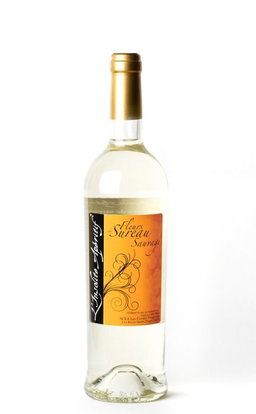 Insolite Apéritif aux fleurs de Sureau